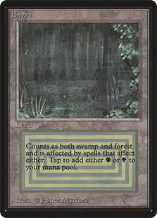 Bayou