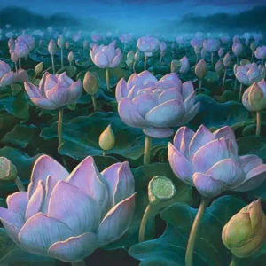 Lotus Field