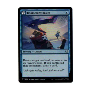 Foil Boomerang Basics