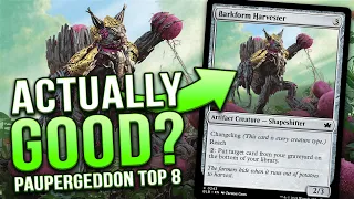 Thumbnail for PAUPERGEDDON TOP 8! Barkform Harvester in Cycle Storm — Bloomburrow (MTG BLB) | Magic: The Gathering